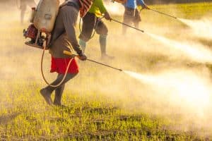 背中に農薬タンクを背負って畑に農薬を散布している様子