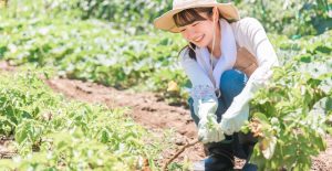 女性が笑顔で畑で野菜は収穫している様子