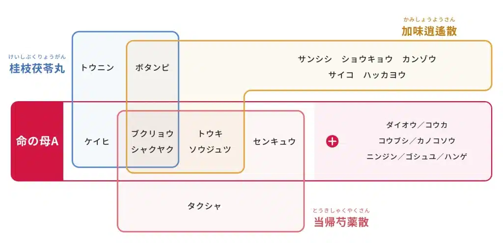 命の母に含まれる漢方の構成図